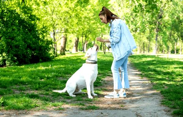 ### Важность эмоциональной устойчивости